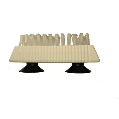 Nail/Denture Brush