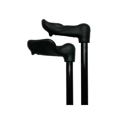 Walking Stick Rehab