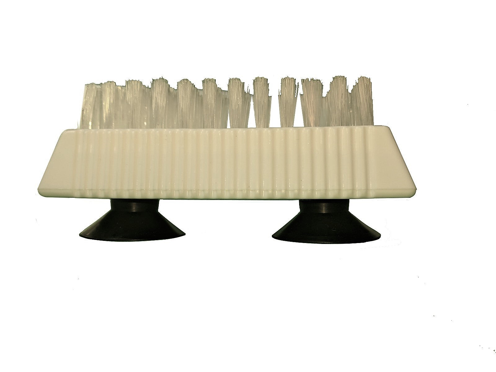 Nail/Denture Brush