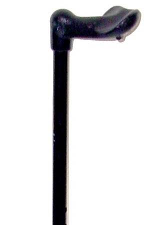 Walking Stick Rehab