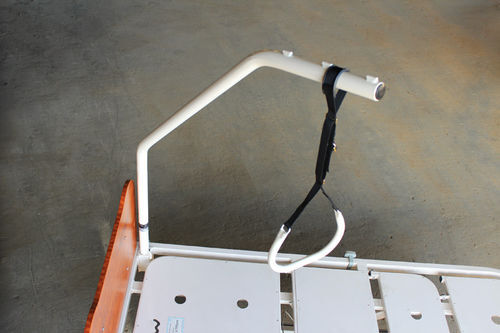 Self Help Pole for Walmsley bed