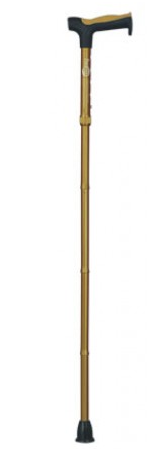 Hugo Folding Walking Stick