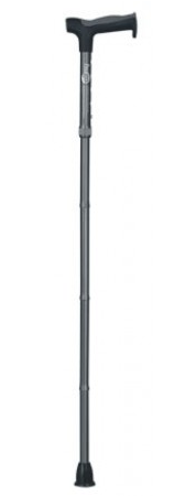 Hugo Folding Walking Stick