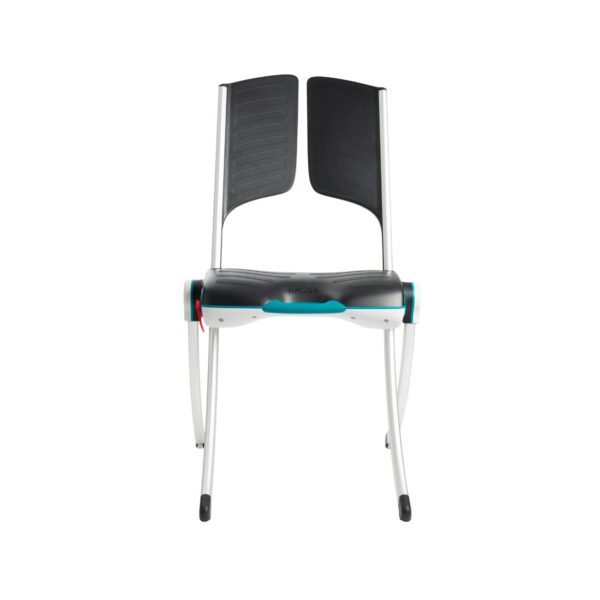 Raizer II Lifting Chair