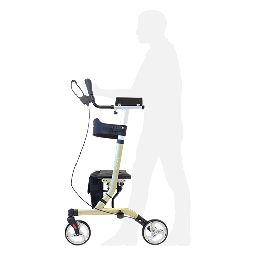 Redgum Walking Tutor with Seat-Champagne