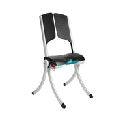 Raizer II Lifting Chair