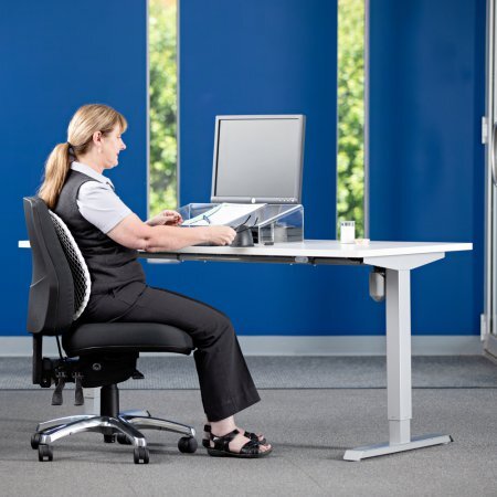 Bassett Back Support