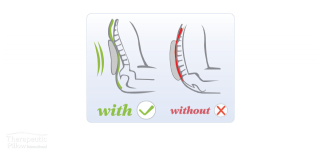 Back Support Contoured