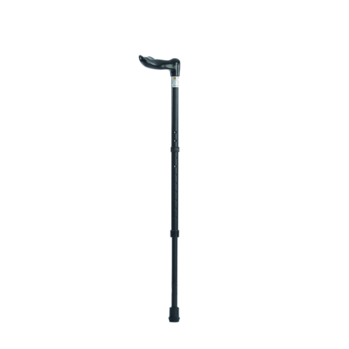 Walking Stick Fischer