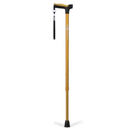 Hugo Derby Cane